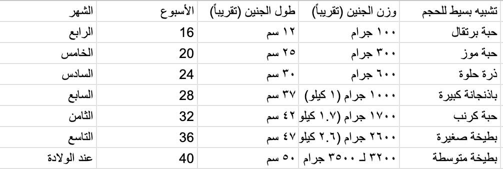 ابنك بيكبر؟ جدول وزن وطول الجنين أسبوع بأسبوع وبالشهور